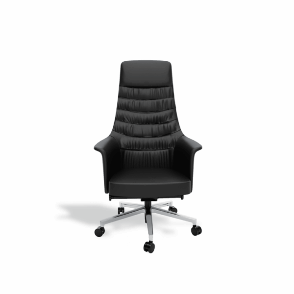 Executive Chair - Image 1