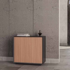 Low-Height-Stroage-Black-Blonde-Ash Office furniture Dubai & Abu Dhabi