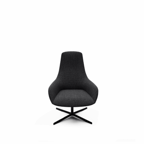Solace Lounge Chair - Image 1